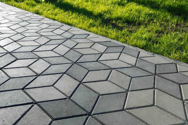 Best Driveway Paving Contractor  in Danville, AR